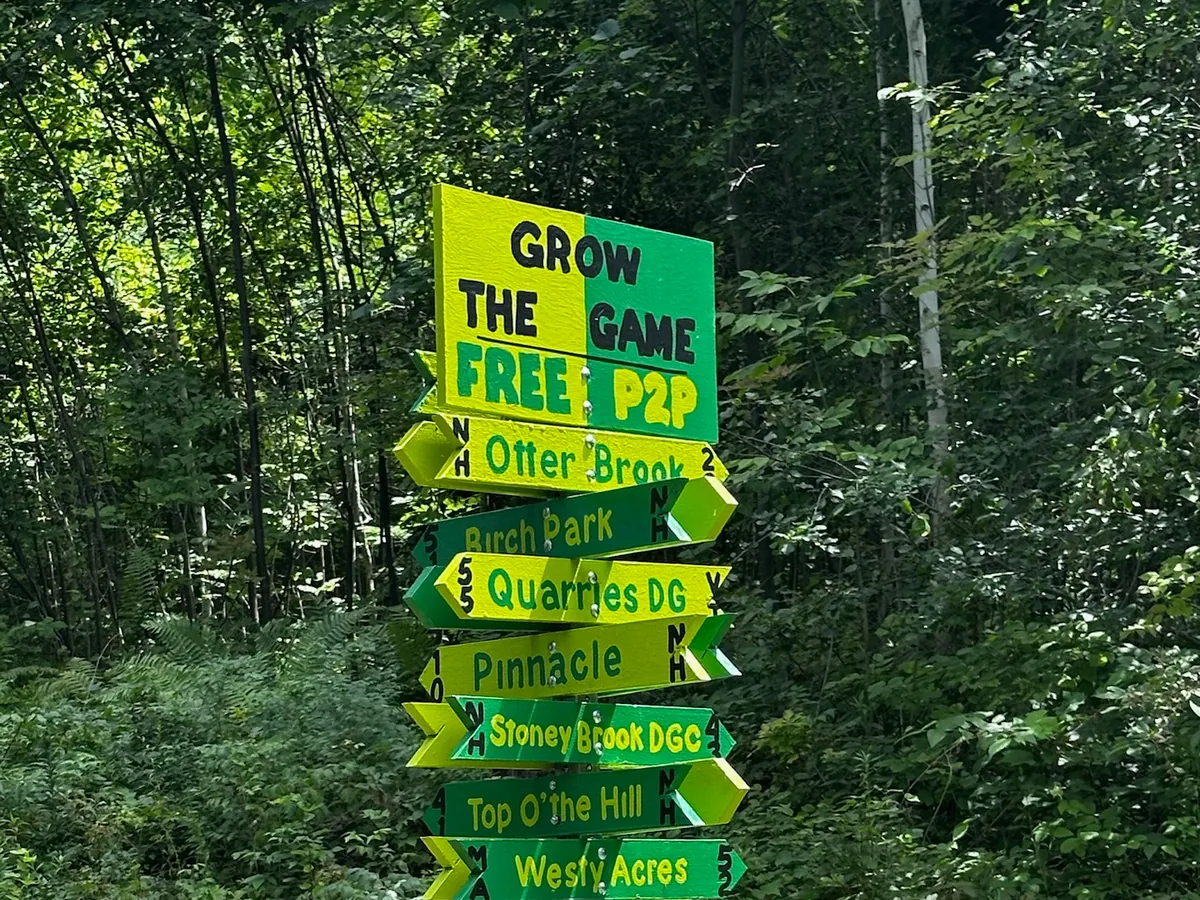 Hand-painted disc-golf course sign in the New Hampshire woods